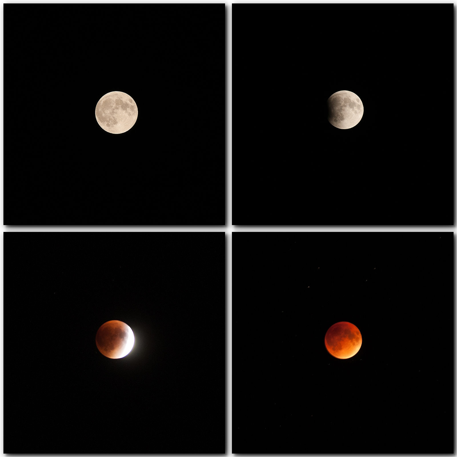 bloodmooneclipse2015