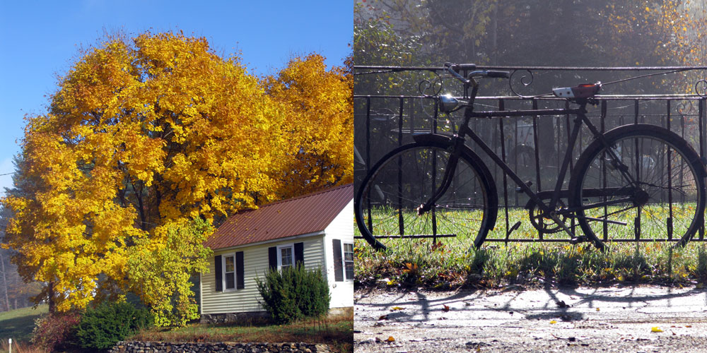 bike_foliage1.jpg